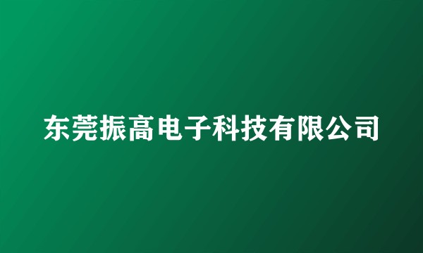 东莞振高电子科技有限公司