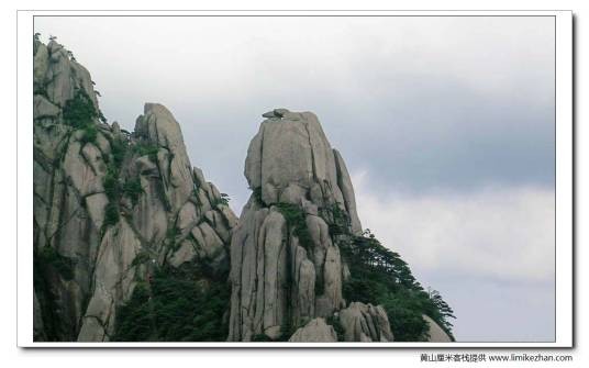 松鼠跳天都