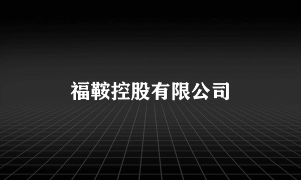 福鞍控股有限公司