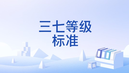 三七等级标准