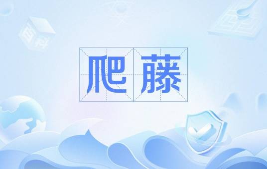 爬藤（申请常春藤盟校在中国留学圈的叫法）