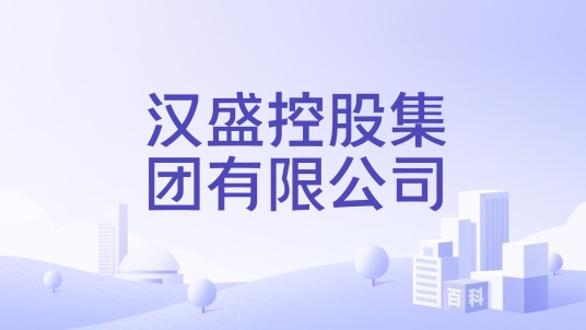 汉盛控股集团有限公司