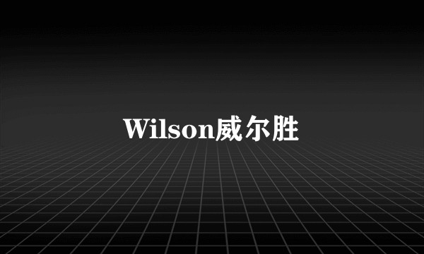 Wilson威尔胜
