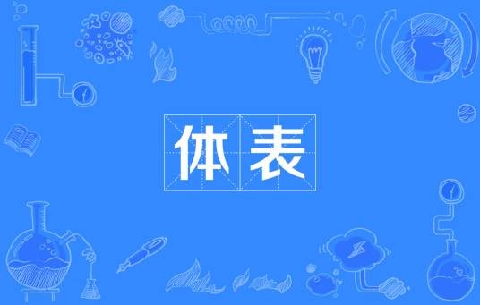 体表