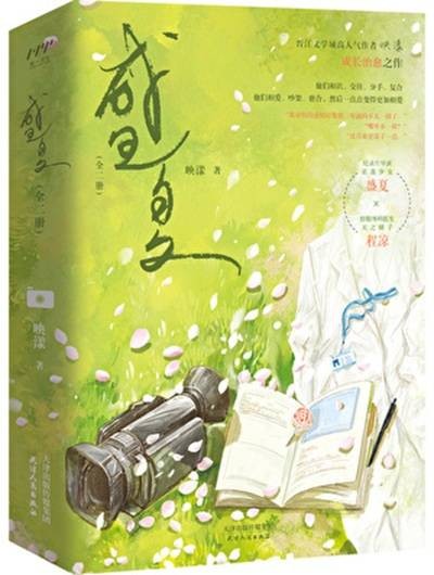 盛夏（映漾所著小说）