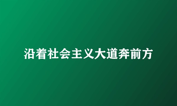 沿着社会主义大道奔前方
