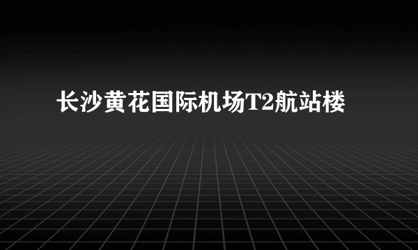 长沙黄花国际机场T2航站楼