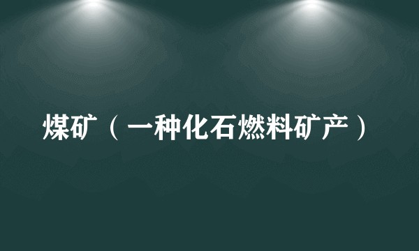 煤矿（一种化石燃料矿产）