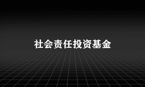 社会责任投资基金