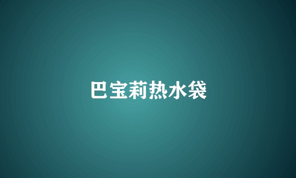 巴宝莉热水袋