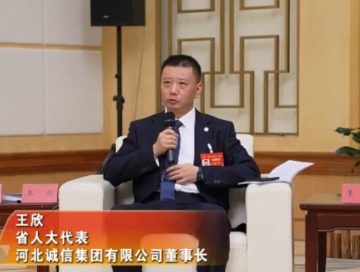 王欣（河北省人大代表、河北诚信集团有限公司总经理）