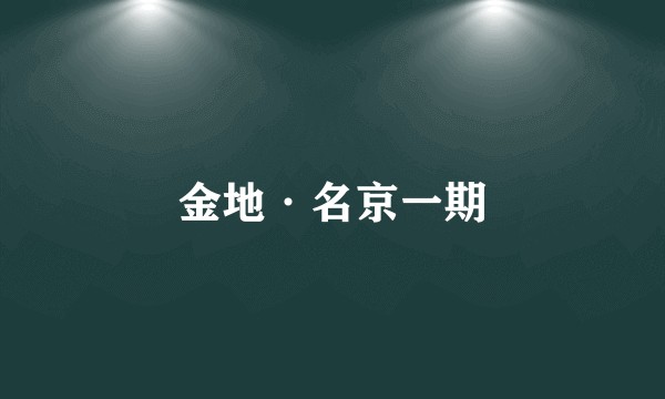 金地·名京一期