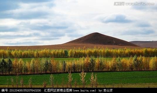 农田防护林