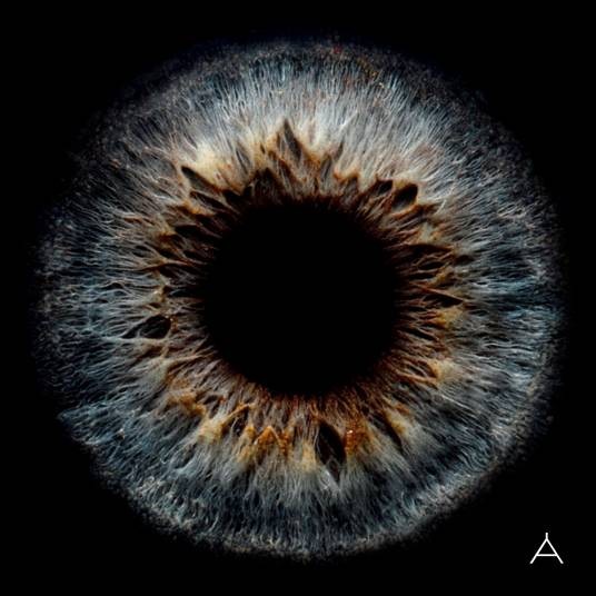 Apples of Thy Eye