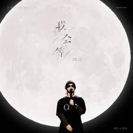 我会等（2024年魏巡演唱的歌曲）