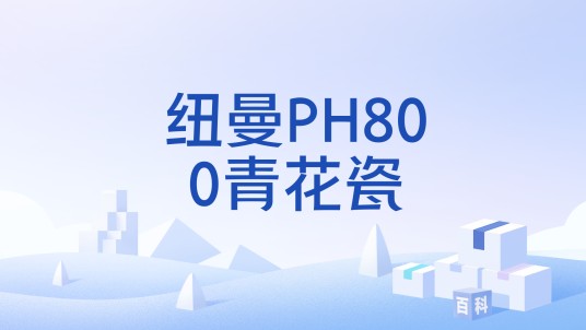 纽曼PH800青花瓷