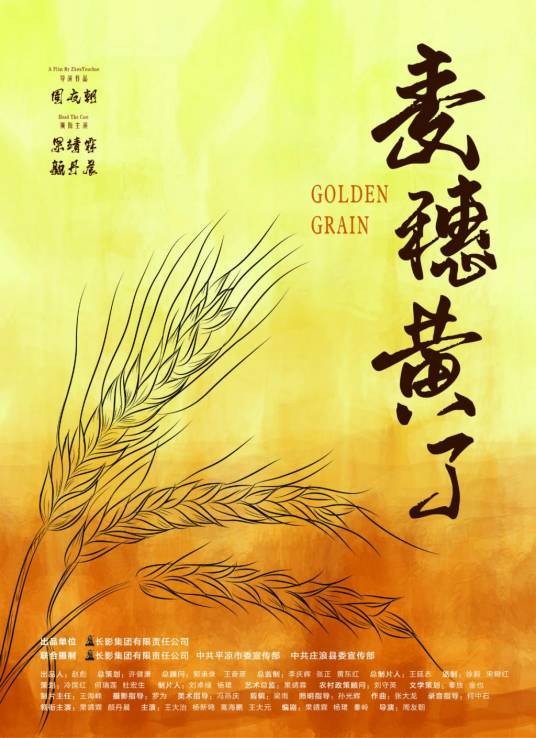 麦穗黄了