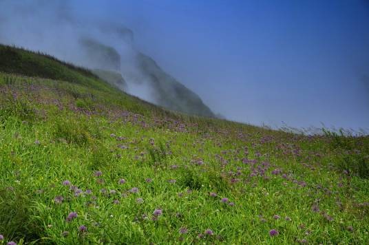 毕节市赫章阿西里西·韭菜坪景区