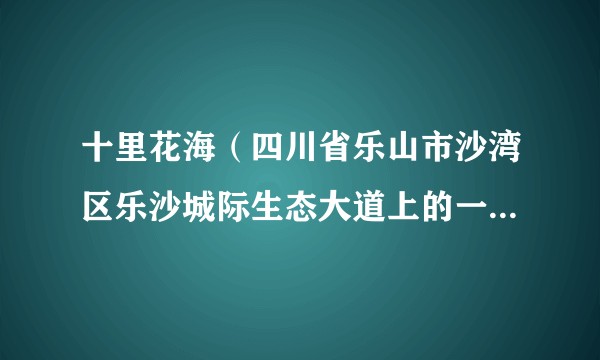 十里花海（四川省乐山市沙湾区乐沙城际生态大道上的一个景观带）
