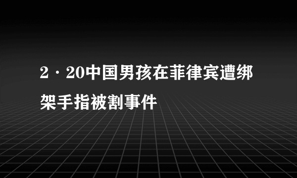 2·20中国男孩在菲律宾遭绑架手指被割事件