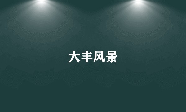 大丰风景