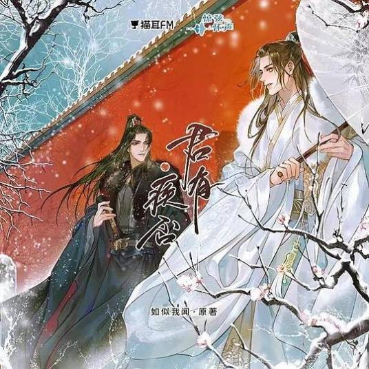 君有疾否（根据如似我闻所著小说《君有疾否》改编的广播剧）