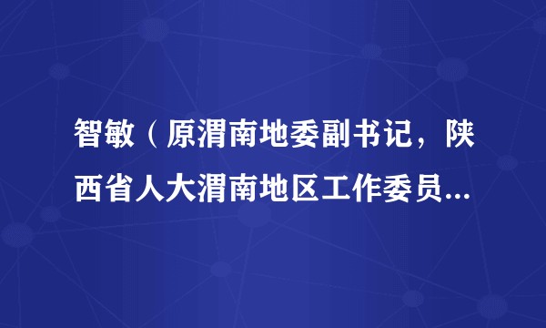 智敏（原渭南地委副书记，陕西省人大渭南地区工作委员会党组书记、主任）