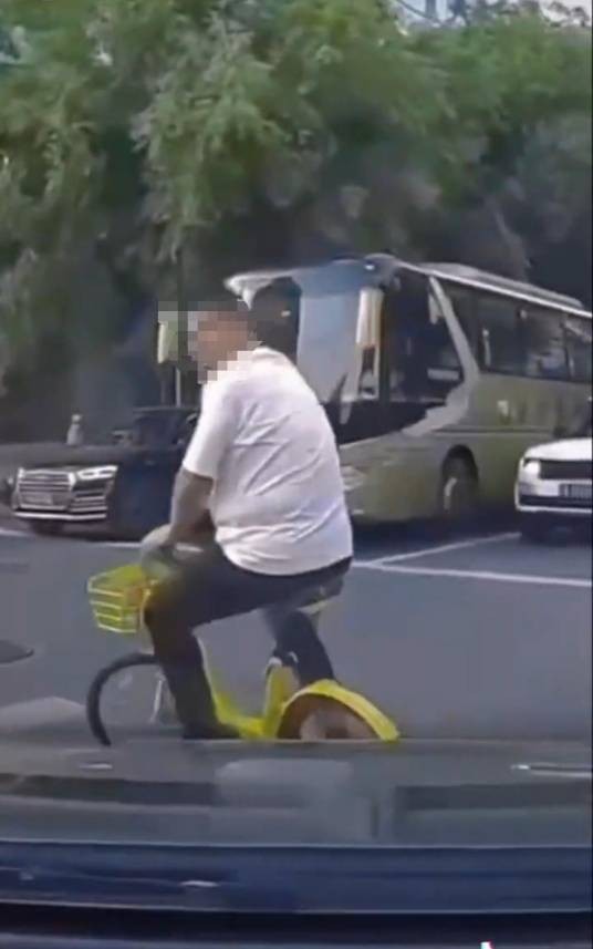 8·11沈阳车辆撞人事件