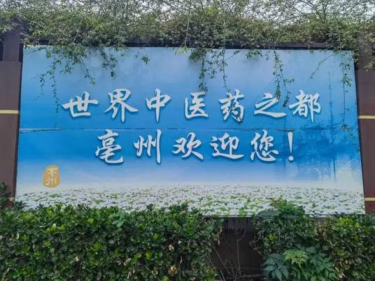 世界中医药之都