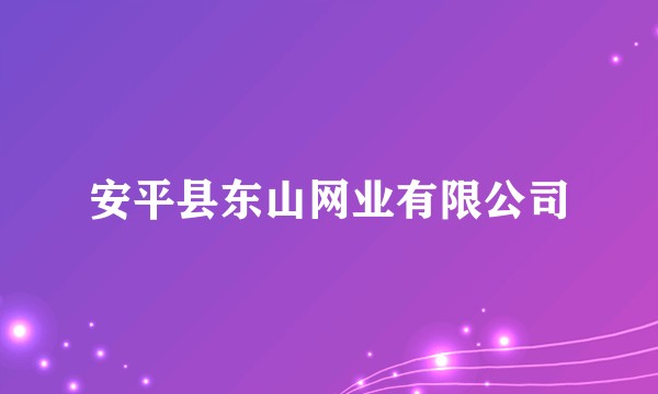 安平县东山网业有限公司
