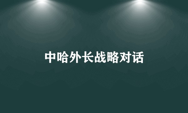 中哈外长战略对话