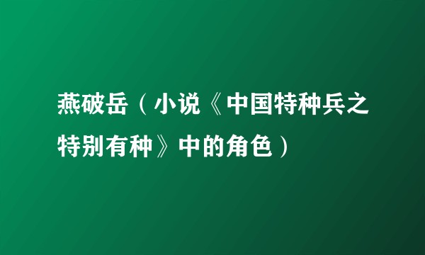 燕破岳（小说《中国特种兵之特别有种》中的角色）