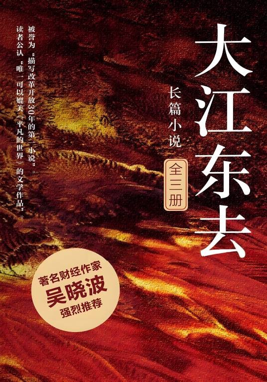 大江东去（2009年阿耐创作的小说）
