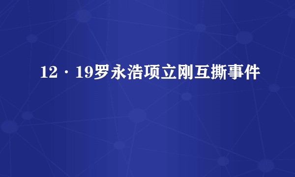 12·19罗永浩项立刚互撕事件
