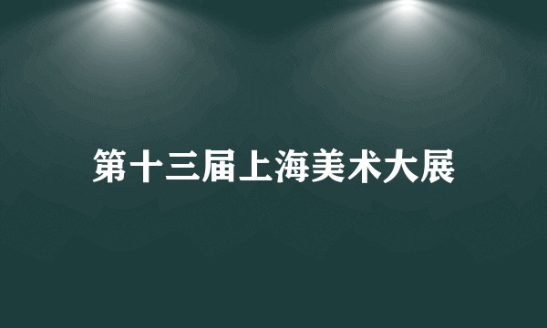 第十三届上海美术大展