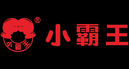 中山市小霸王公司