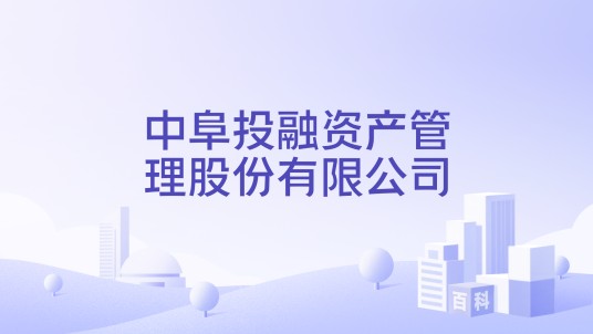 中阜投融资产管理股份有限公司