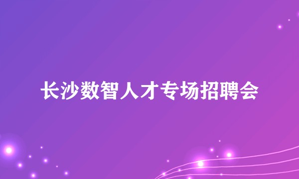 长沙数智人才专场招聘会