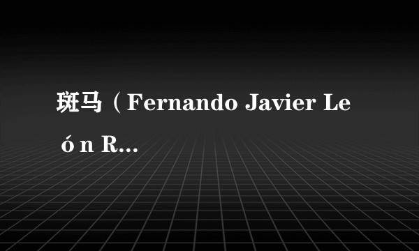 斑马（Fernando Javier León Rodríguez执导的墨西哥喜剧电影）