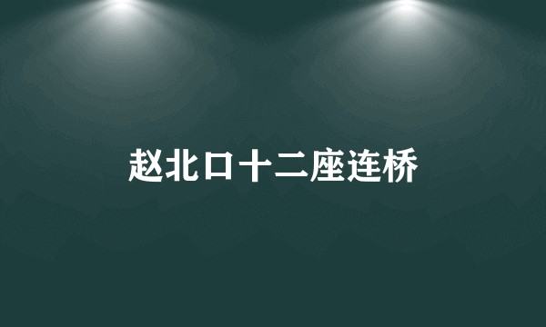 赵北口十二座连桥