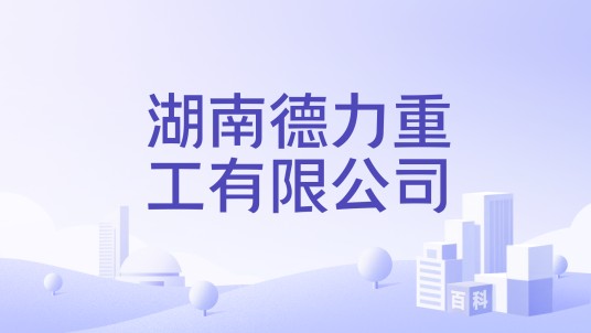 湖南德力重工有限公司