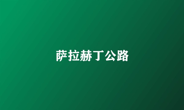 萨拉赫丁公路