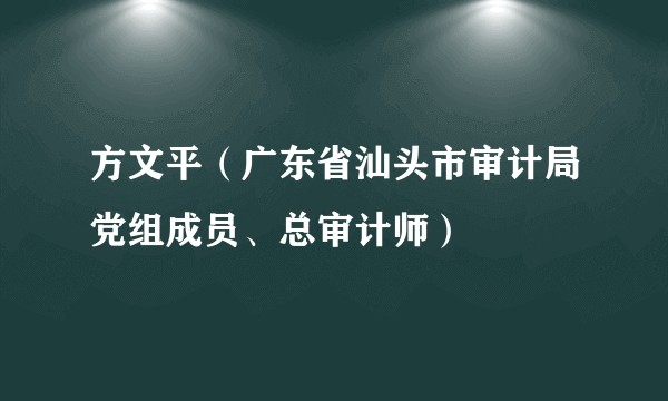 方文平（广东省汕头市审计局党组成员、总审计师）