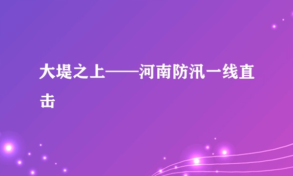 大堤之上——河南防汛一线直击
