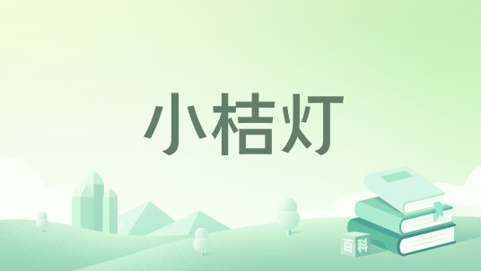 小桔灯(2013年北京联合出版公司出版的图书)