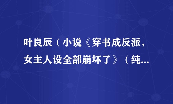 叶良辰（小说《穿书成反派，女主人设全部崩坏了》（纯小叶 著）中的角色）