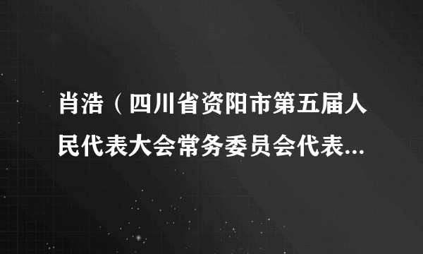 肖浩（四川省资阳市第五届人民代表大会常务委员会代表资格审查委员会委员）