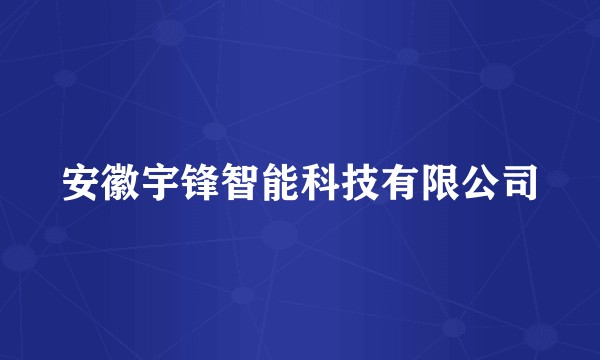 安徽宇锋智能科技有限公司