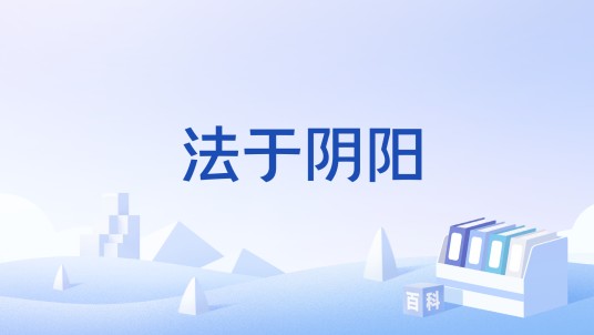 法于阴阳（法学术语）