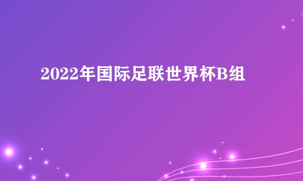 2022年国际足联世界杯B组
